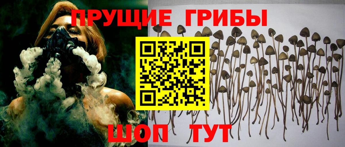 Галлюциногенные грибы прущие грибы Нижний Тагил