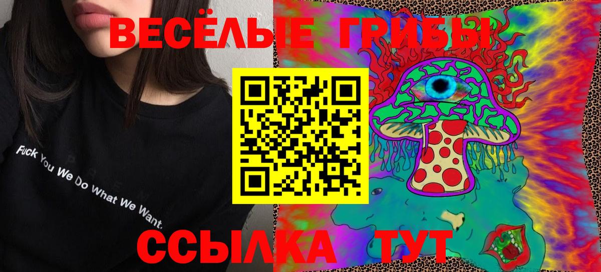 Нижний Тагил  где можно купить   Вход с VPN  Галлюциногенные грибы Psilocybine cubensis 